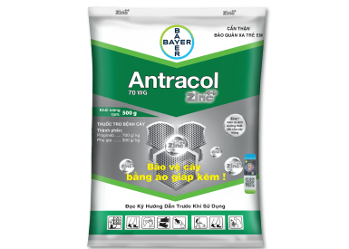 ANTRACOL 70WG